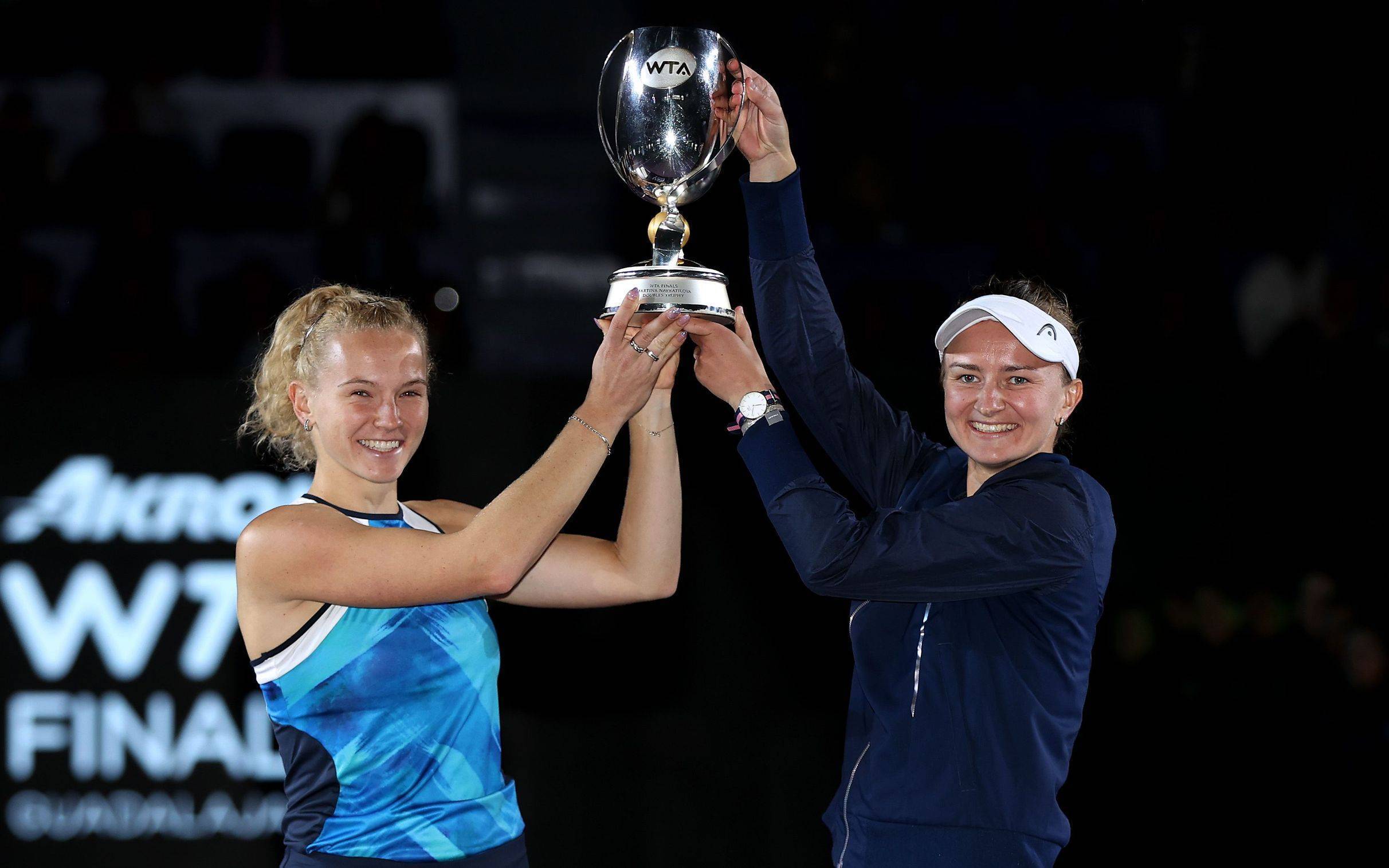 的职业经历 的职业经历